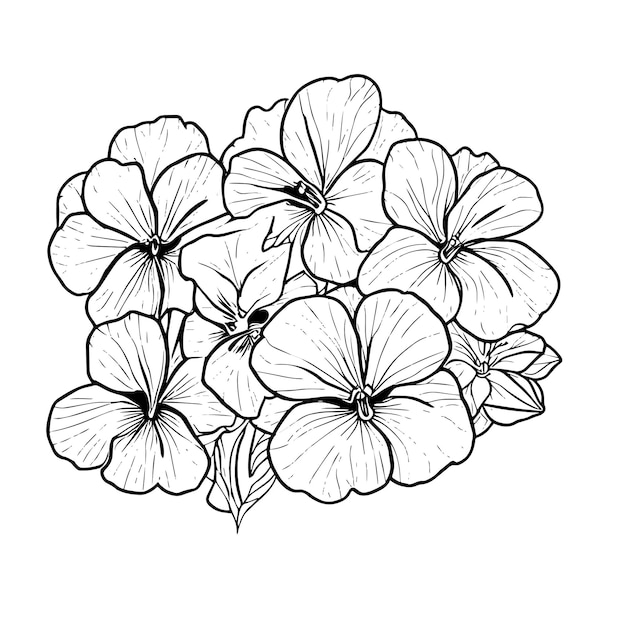 Vecteur définir un bouquet de fleurs de pensée une illustration de fleur de pensée dessinée à la main dessin de fleur de pensée de vecteur