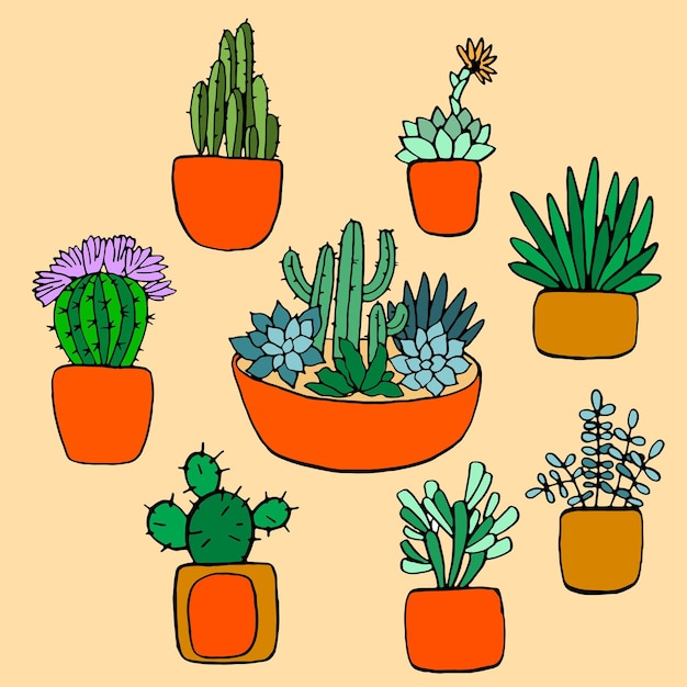 Vecteur définir des cactus et des plantes succulentes