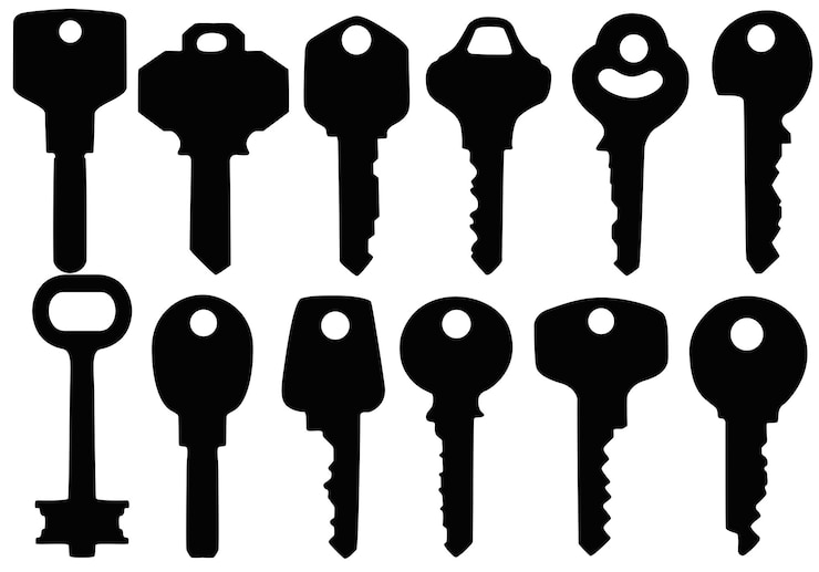 Vecteur définir les clés de collections icône de silhouette noire illustration vectorielle