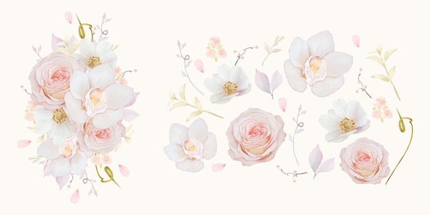 Définir des éléments d'aquarelle d'orchidée rose rose et de fleur d'anémone