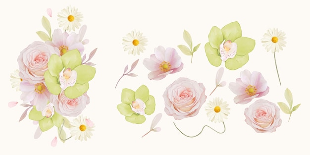 Définir des éléments d'aquarelle d'orchidée rose et verte