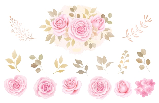 Vecteur définir des éléments vintage de collection de roses fleurs de jardin feuilles illustration isolée sur fond blanc herbes d'eucalyptus bourgeon et feuille