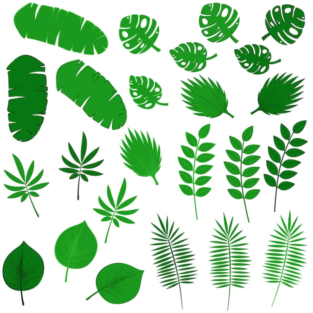 Définir Le Feuillage Vert Collection De Différentes Feuilles éléments Pour Votre Conception Illustration Vectorielle