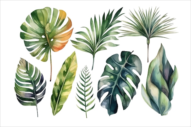 Définir des feuilles de palmier aquarelle Modèle d'éléments de fleurs décoratives Illustration de dessin animé plat isolé sur fond blanc