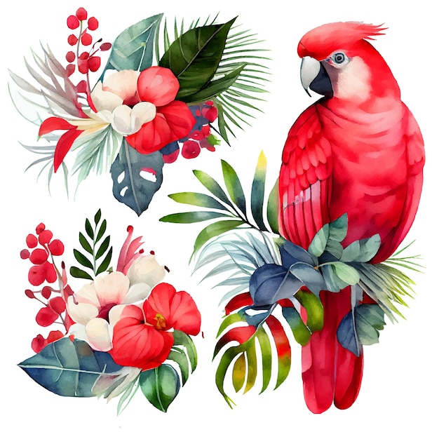 Définir l'illustration vectorielle de l'oiseau perroquet paradis isolé sur fond blanc