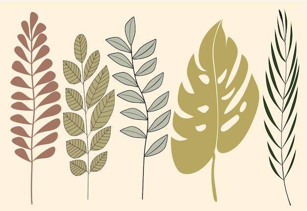 Définir des illustrations plates dessinées à la main de feuilles tropicales. Plantes exotiques croquis cliparts collection vecteur