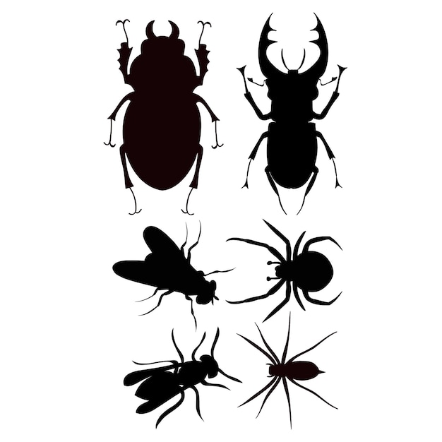 Définir Les Insectes Silhouette