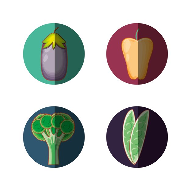 Définir Des Légumes Des Aliments Sains Vector Illustration Design