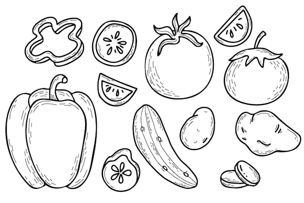 Définir des légumes doodle linéaires Pommes de terre poivrons concombre et tomates Légumes entiers et morceaux coupés