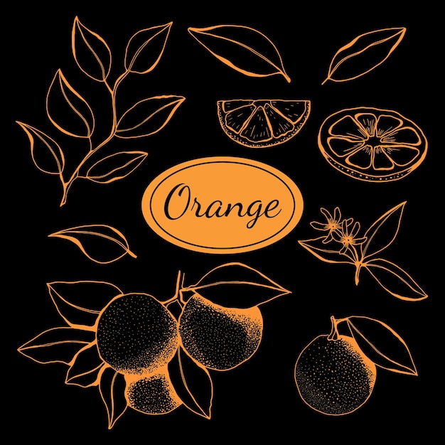 Définir Des Oranges