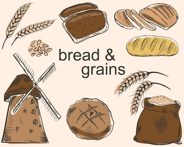 Vecteur définir le pain et les céréales croquis vectoriels de divers pains céréales et moulin industrie alimentaire légère