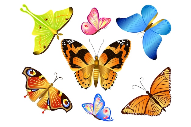 Définir Les Papillons