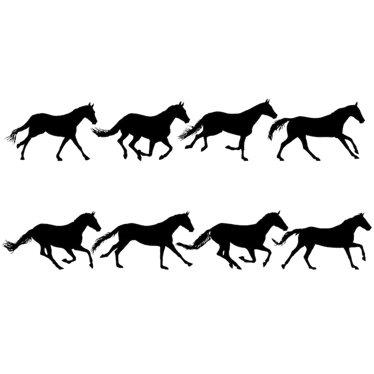 Vecteur définir la silhouette du cheval mustang noir sur fond blanc