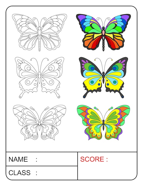 Définir Le Vecteur Papillon, Le Livre De Coloriage Ou La Page, L'éducation Pour Les Enfants, L'illustration Vectorielle.