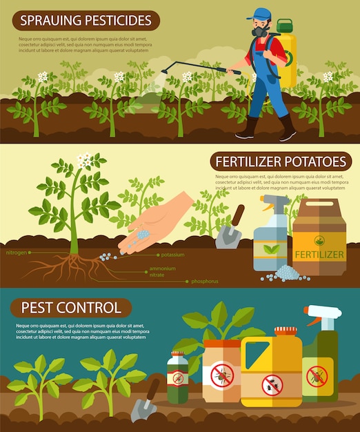 Vecteur définissez les pommes de terre fertilisantes et les pesticides à pulvériser.
