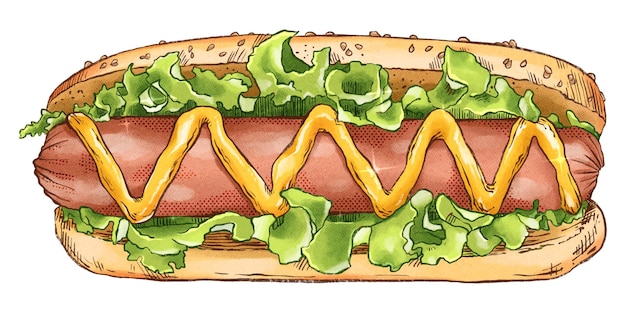 Vecteur délicieux hot-dog peint à l'aquarelle