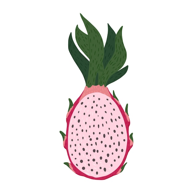 Demi fruit du dragon isolé. Couleur rose des aliments tropicaux en illustration vectorielle de doodle style.