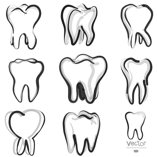 Dent Saine. Concept De Soins Dentaires. Conception D'icône. Illustration Vectorielle Isolée Sur Fond Blanc.