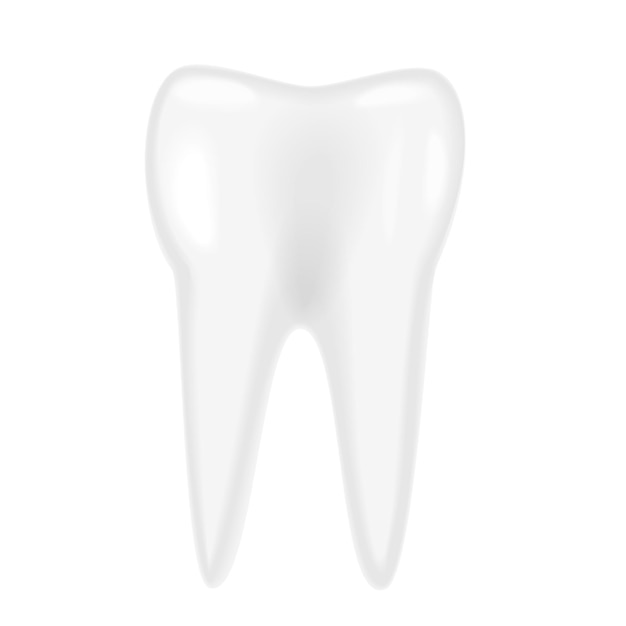 Dente humaine blanche