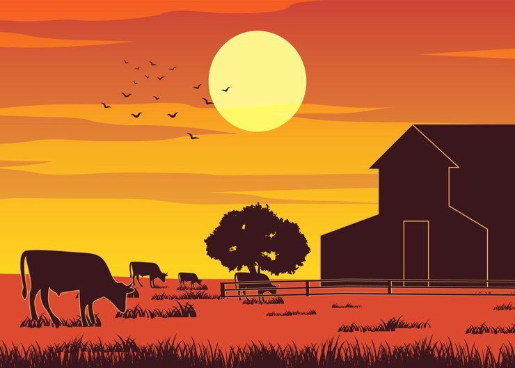 Vecteur description de la silhouette d'une ferme pendant que les vaches mangent l'herbe au coucher du soleil
