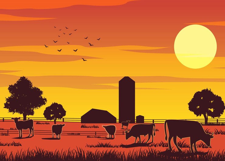 Vecteur description de la silhouette d'une ferme pendant que les vaches mangent l'herbe au coucher du soleil