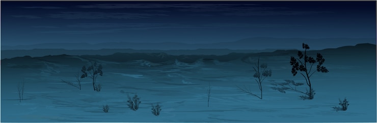 Vecteur désert du texas la nuit.
