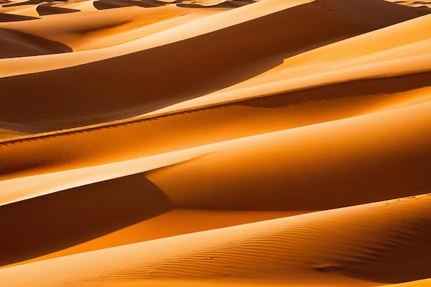 Vecteur le désert des dunes de sable