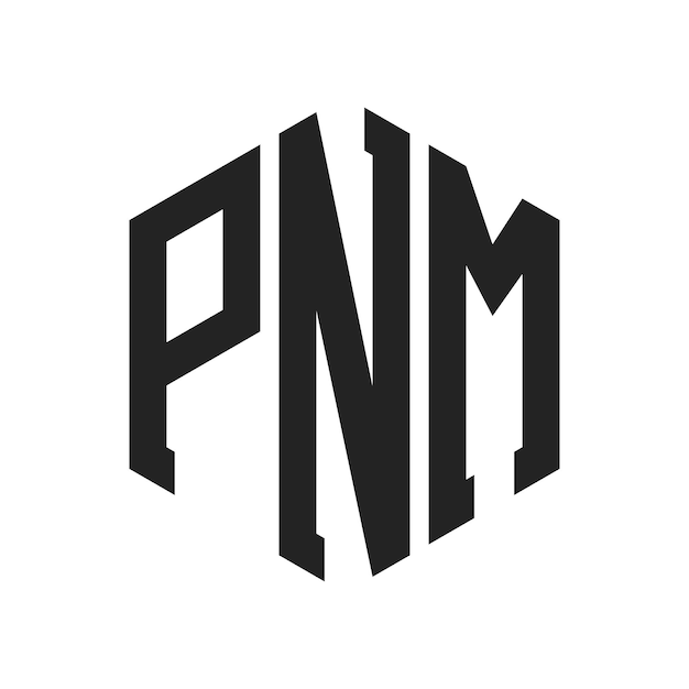 Design du logo PNM Lettres initiales Monogramme PNM Logo en forme d'hexagone