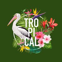 Design d'été tropical avec oiseau pélican et fleurs