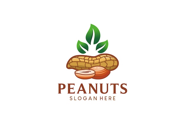 Vecteur design de logo moderne d'arachide dessiné à la main illustration vectorielle de graines d'arachides