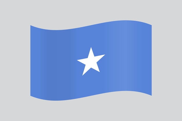 Design Officiel Du Drapeau Du Vecteur De La Somalie