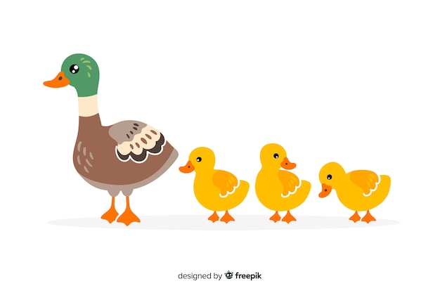 Design plat canard et canetons