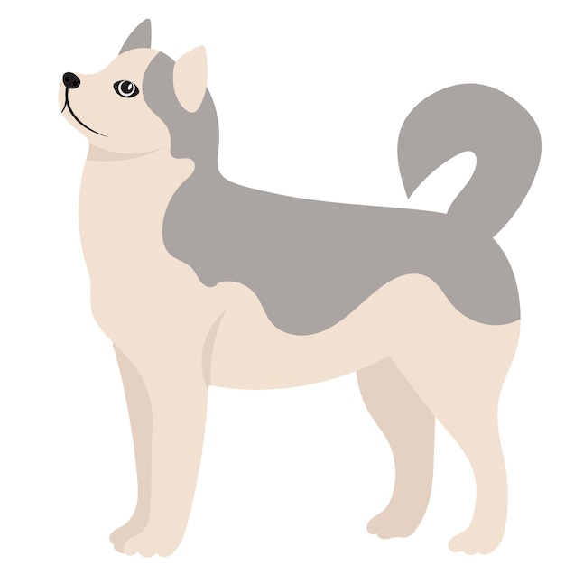 Design Plat Chien Mignon Isolé