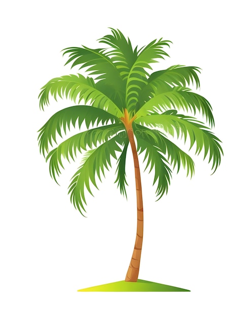 Design vectoriel de palmier avec fond blanc