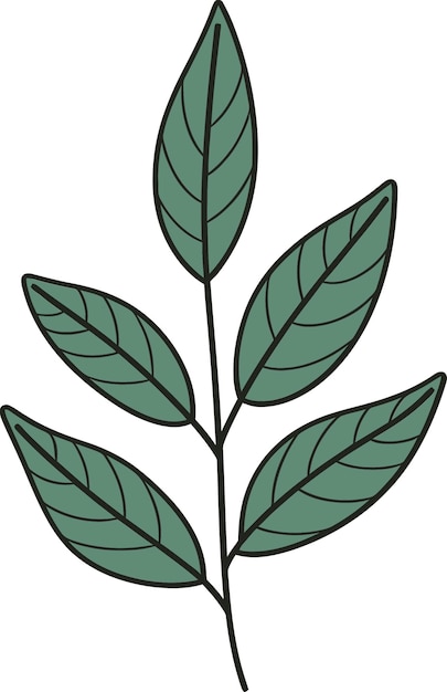 Vecteur designs vectoriels de feuilles calmes zen saisonniers abstraction de feuilles illustrations vectorielles de feuilles abstraites