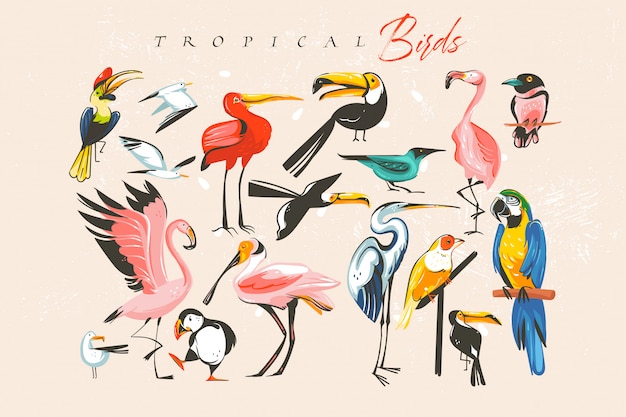 Vecteur dessin animé abstrait dessiné à la main heure d'été amusant illustrations de collection de groupe de gros lot avec zoo exotique tropical ou oiseaux sauvages isolés sur fond blanc