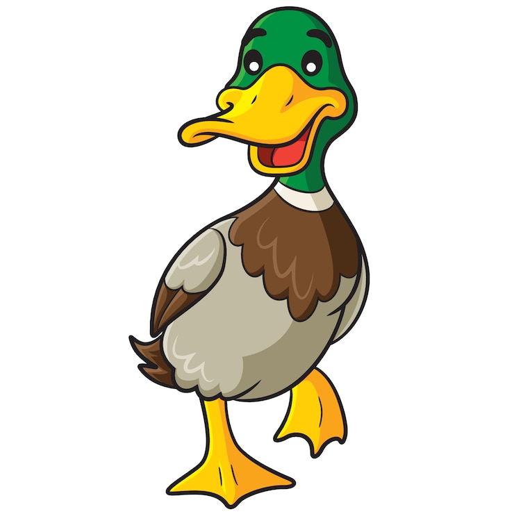 Vecteur dessin animé de canard
