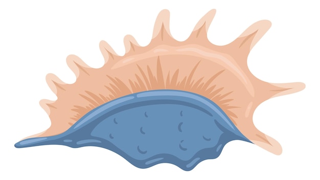 Dessin Animé Coquille De Mer Coquille De Plage Tropicale Sous-marine Illustration Vectorielle Plane Sur Fond Blanc