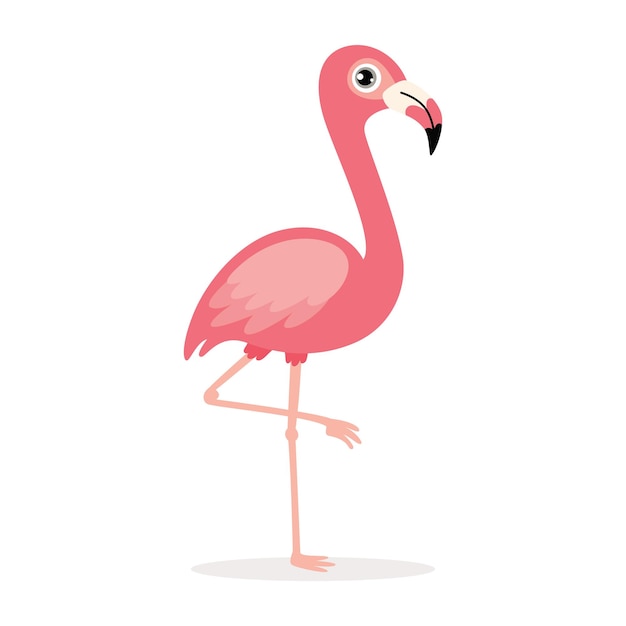 Dessin Animé, Dessin, De, A, Flamant Rose