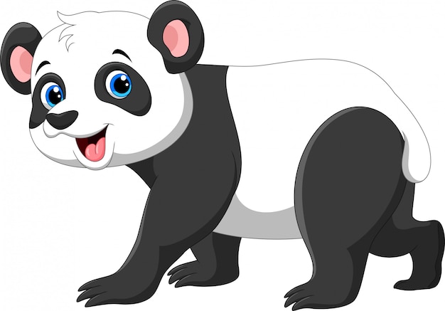 Dessin Animé Drôle De Panda