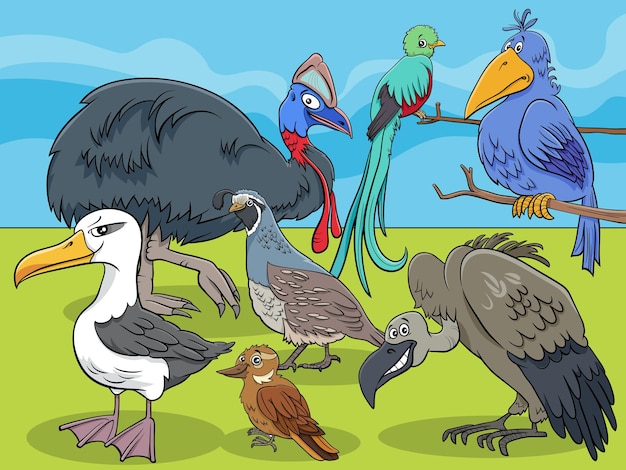 Vecteur dessin animé de groupe de personnages animaux oiseaux