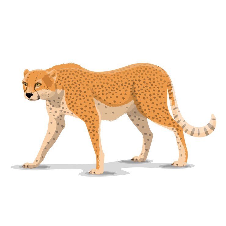 Vecteur dessin animé guépard vecteur animal sauvage