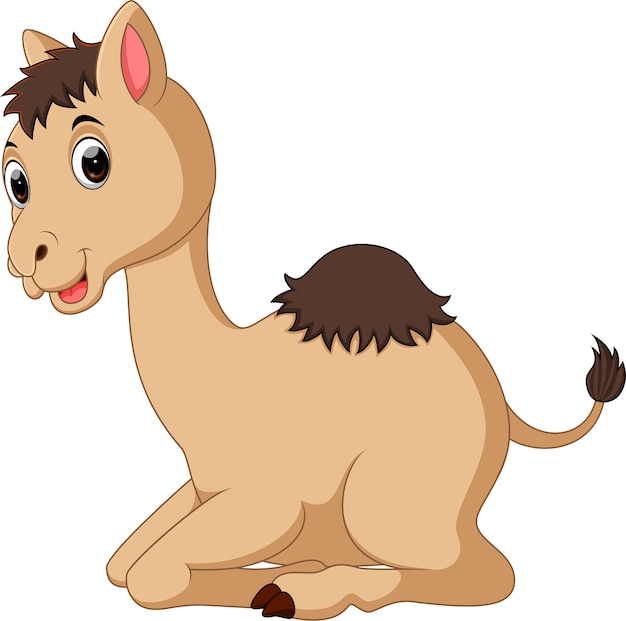 Dessin Animé Mignon Camel