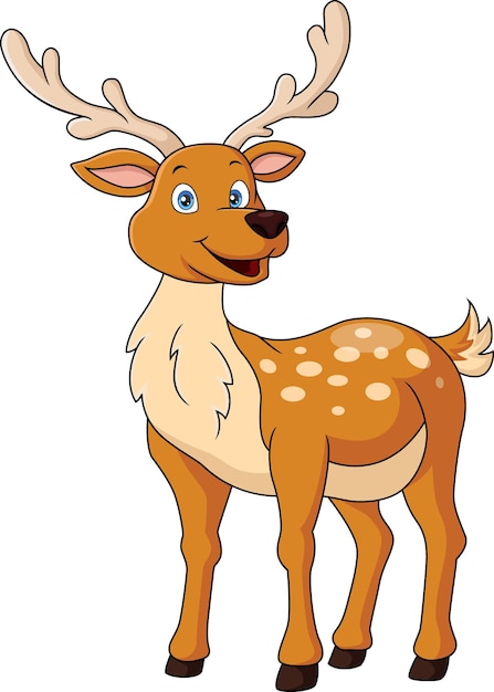 Vecteur dessin animé mignon de cerf sur fond blanc