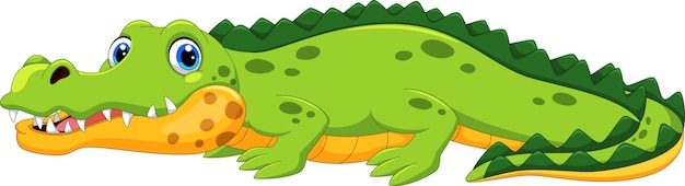 Dessin Animé Mignon Crocodile