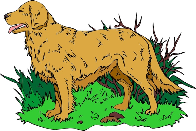 Dessin Animé Mignon Golden Retriever Dog Animaux De Compagnie Dessinés à La Main Illustration Vectorielle Comique