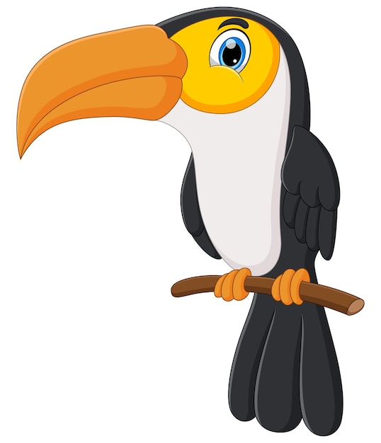 Vecteur dessin animé mignon oiseau toucan