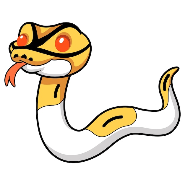 Vecteur dessin animé mignon python pie albinos