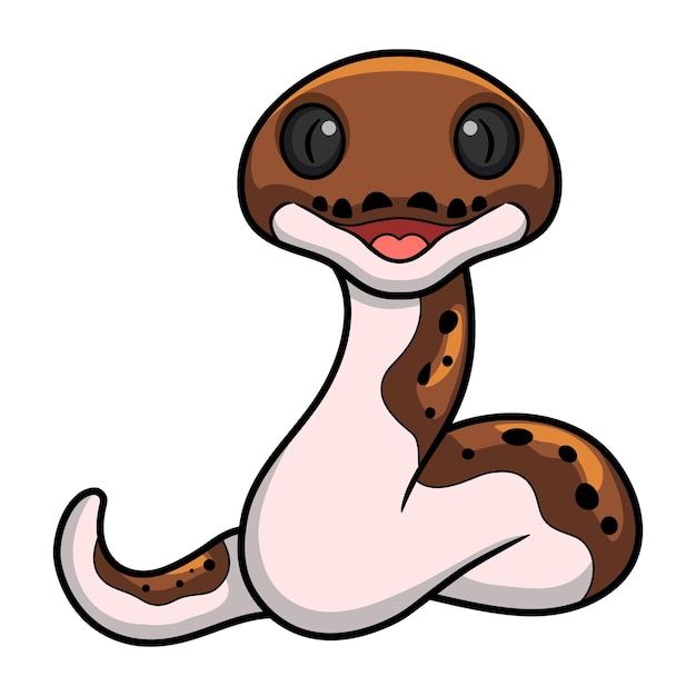 Dessin Animé Mignon Python Réticulé Pied