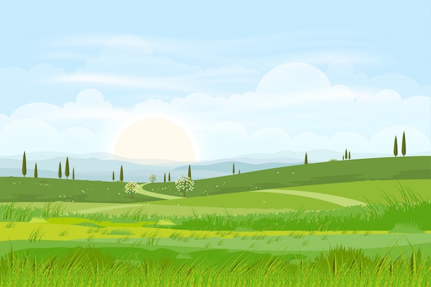 Dessin Animé Nature Paysage Fond De Collines Verdoyantes Avec Skyline